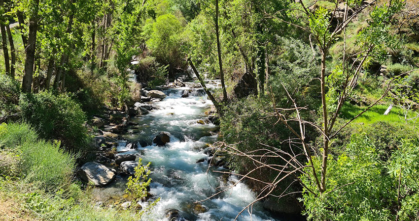 Europe's State of Water